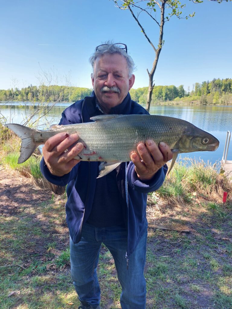 13ebbb38-6a55-4166-b63d-badc550e9fd9